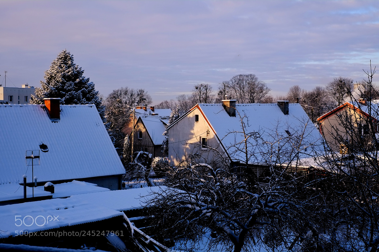 Fujifilm X-Pro1 sample photo. Elbląg snow morning 1 photography