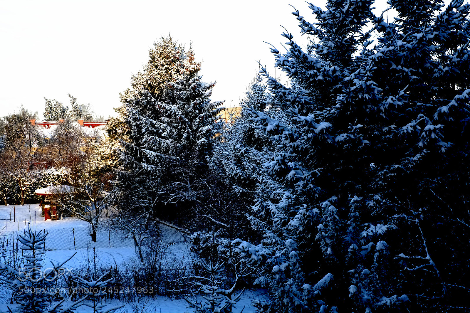 Fujifilm X-Pro1 sample photo. Elbląg snow morning 2 photography