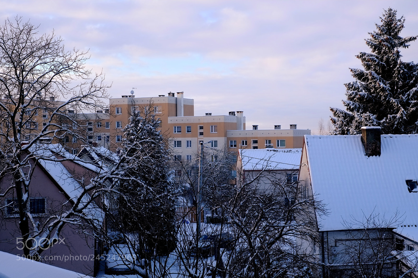 Fujifilm X-Pro1 sample photo. Elbląg snow morning 3 photography