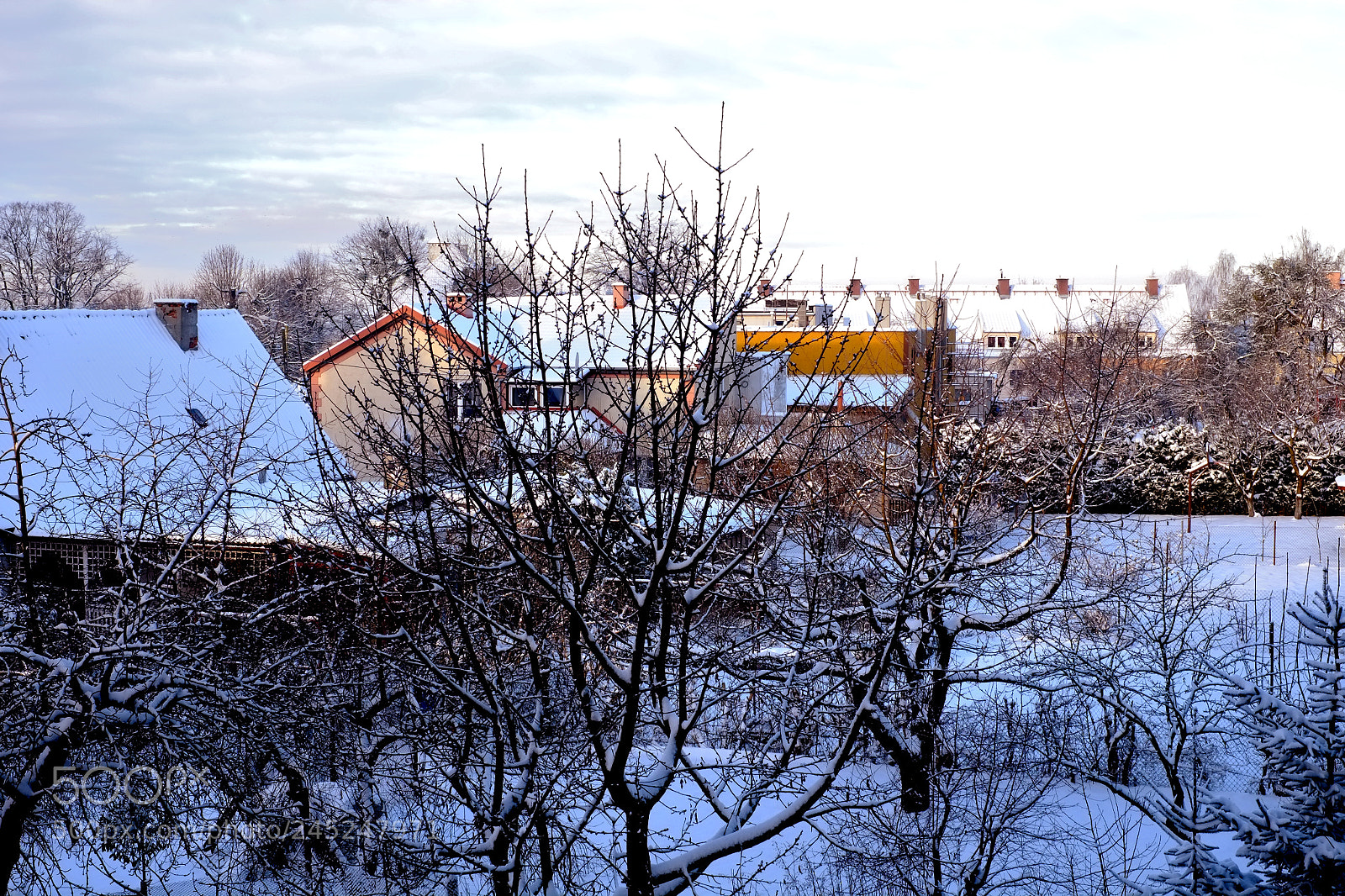 Fujifilm X-Pro1 sample photo. Elbląg snow morning 4 photography