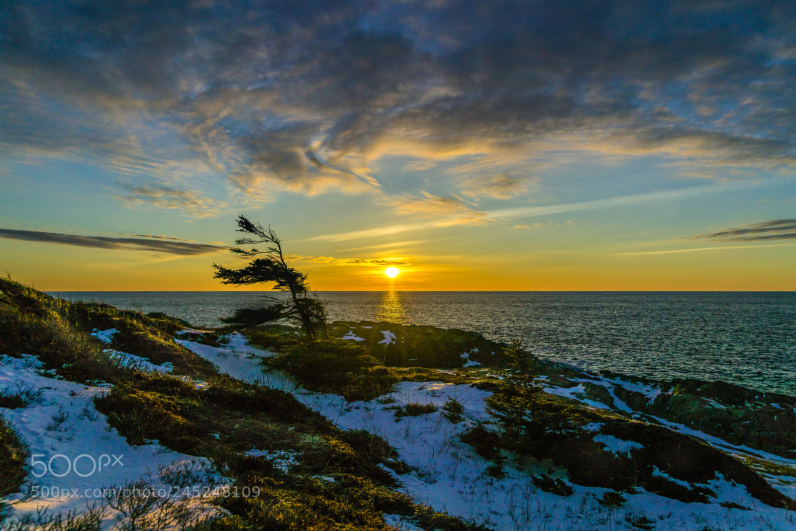 Sony a7R II sample photo. Winter daybreak photography