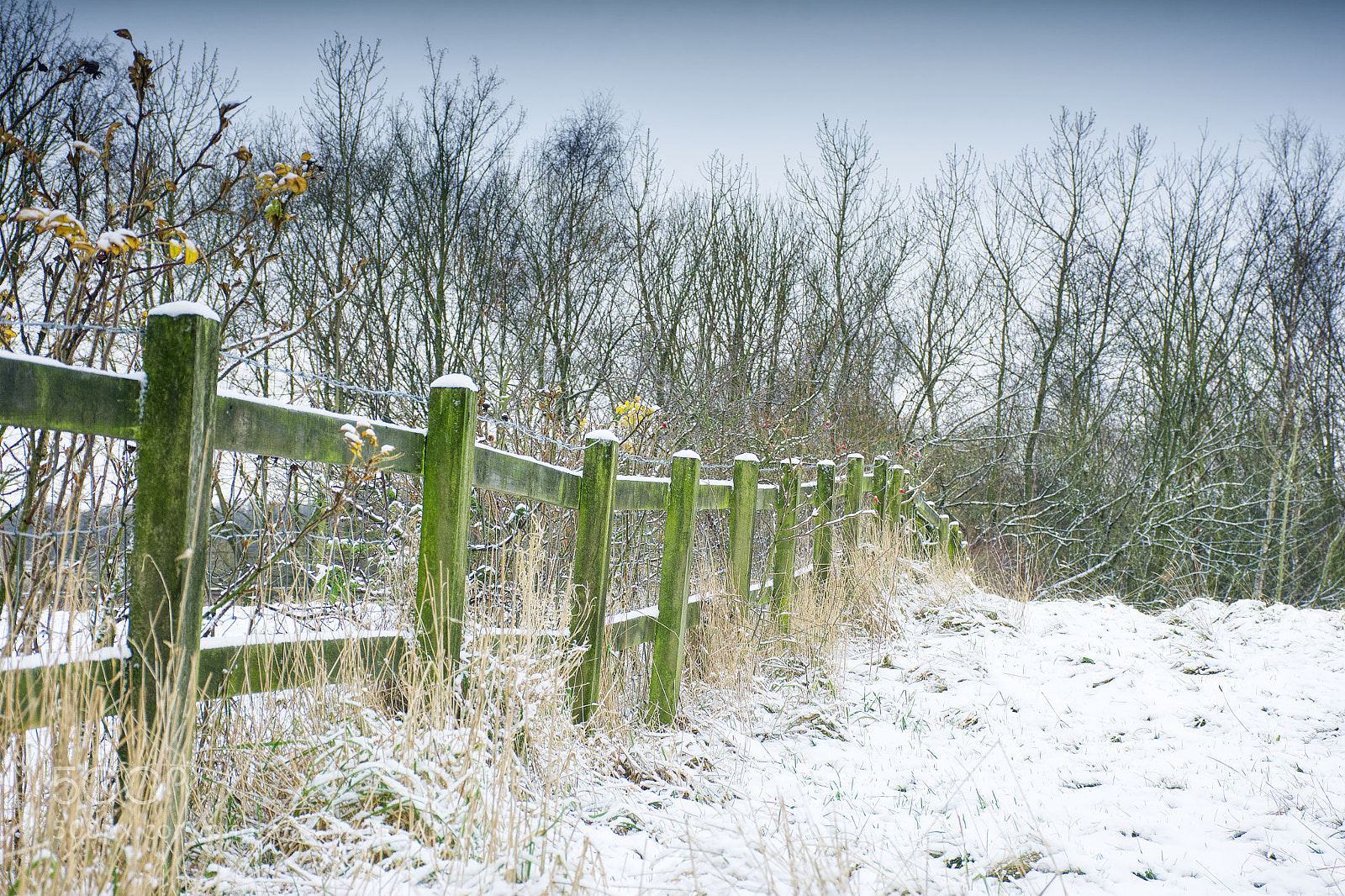 Nikon D7200 sample photo. Winter scenery. photography