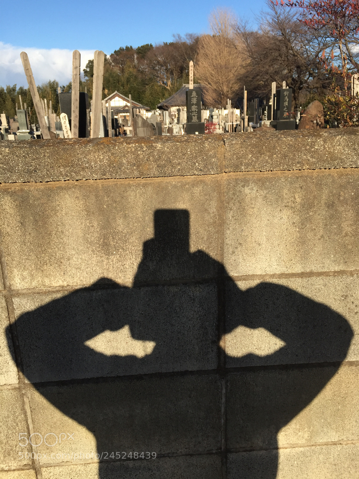 Apple iPhone 6 sample photo. Untitled photography