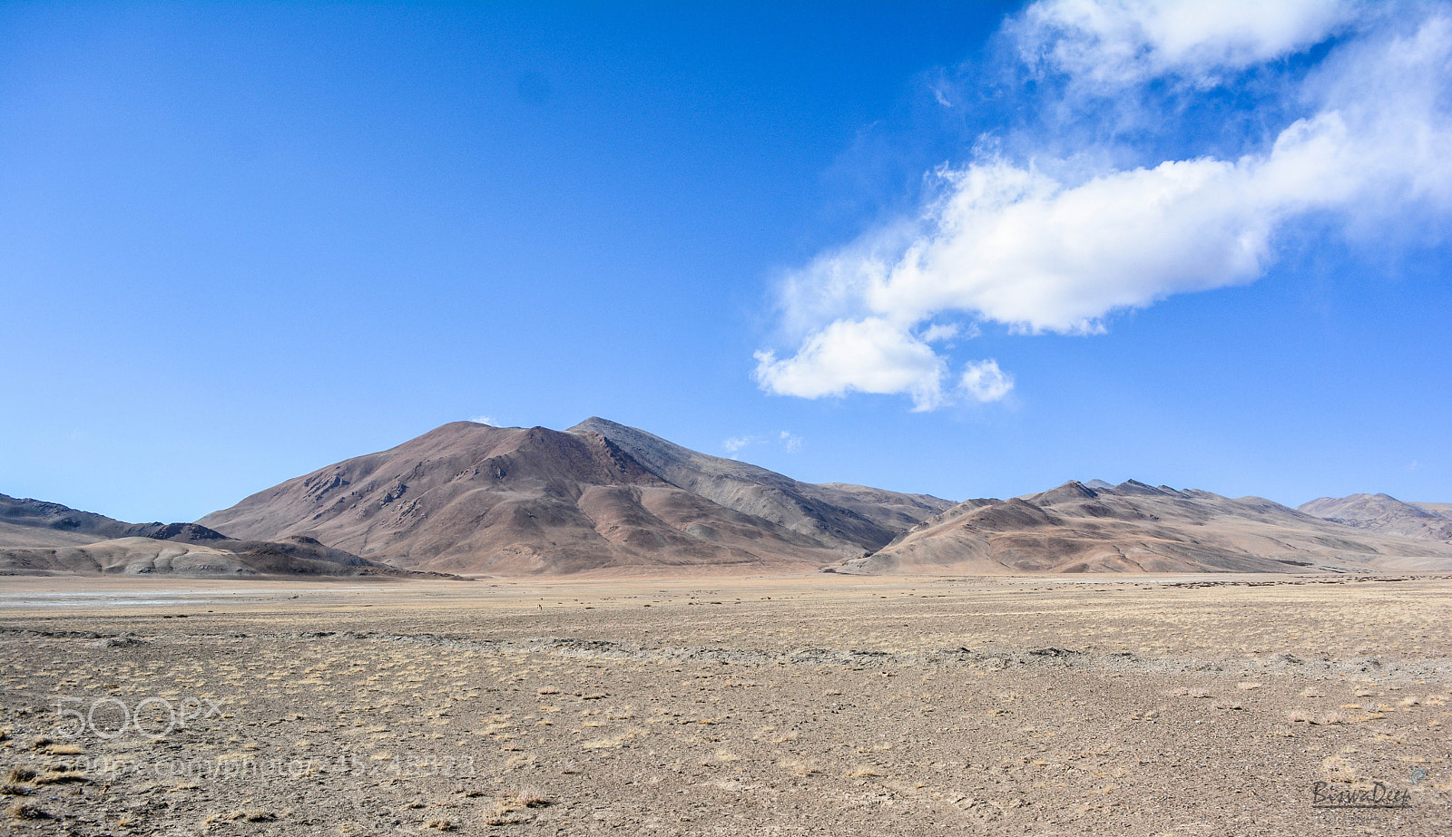 Nikon D5200 sample photo. The brown valleyland!! photography