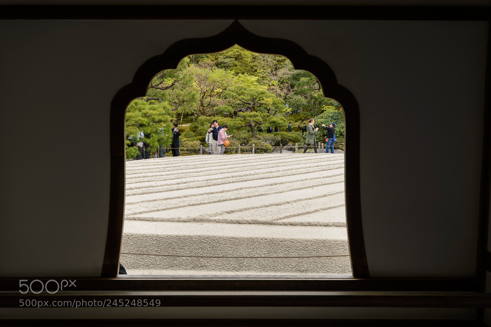 Nikon D610 sample photo. Through the window photography