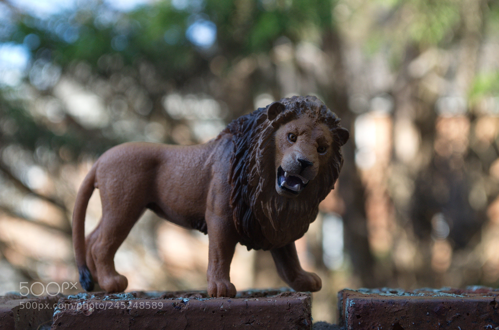 Nikon D5100 sample photo. Toys photography