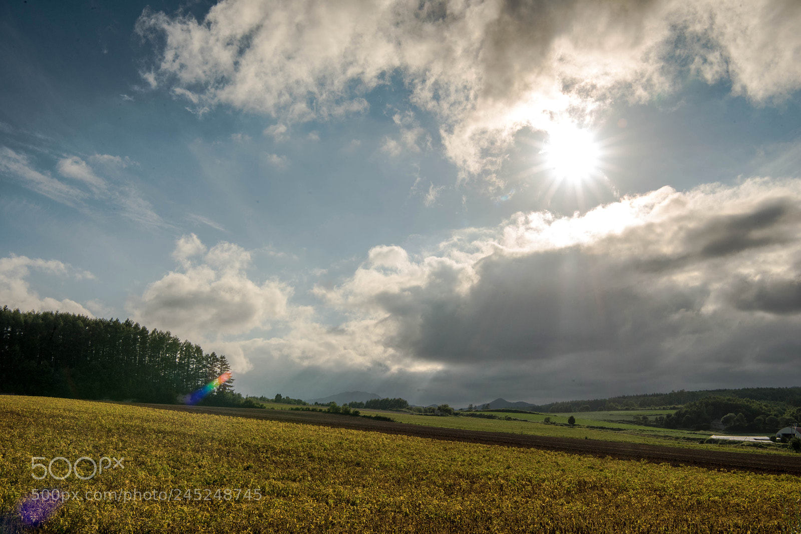 Nikon D810 sample photo. Untitled photography