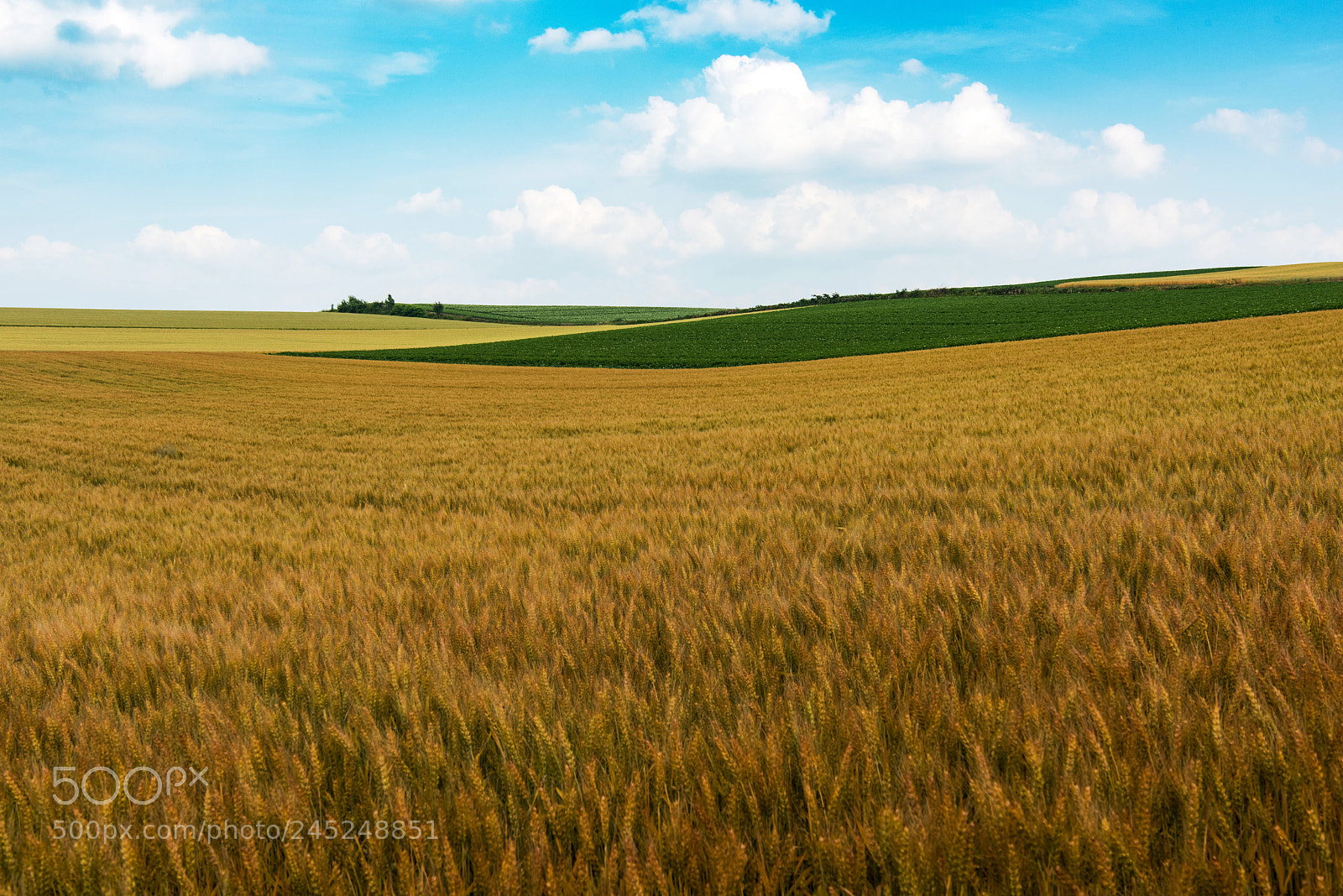 Nikon D810 sample photo. Untitled photography