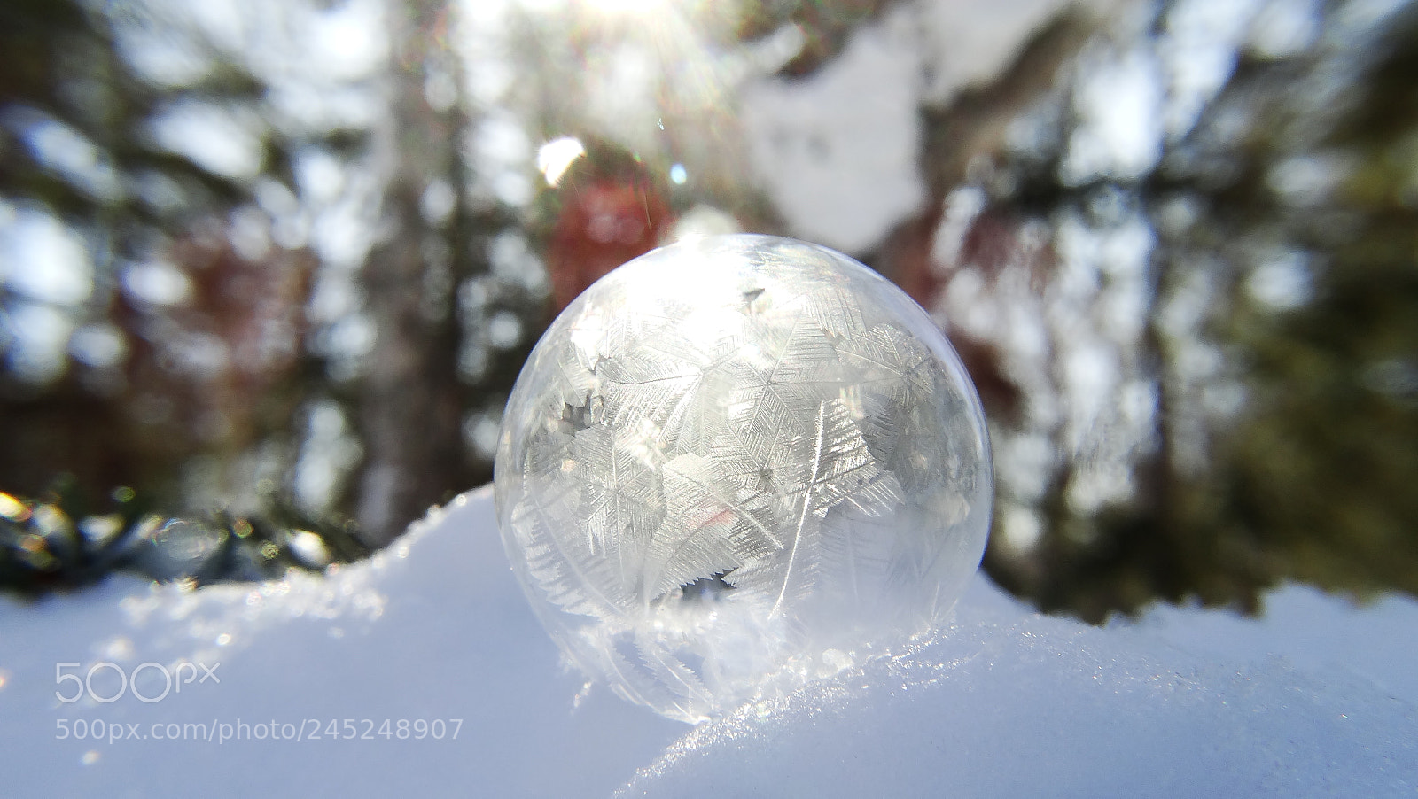 Sony Cyber-shot DSC-HX300 sample photo. Frozen soap bubble photography