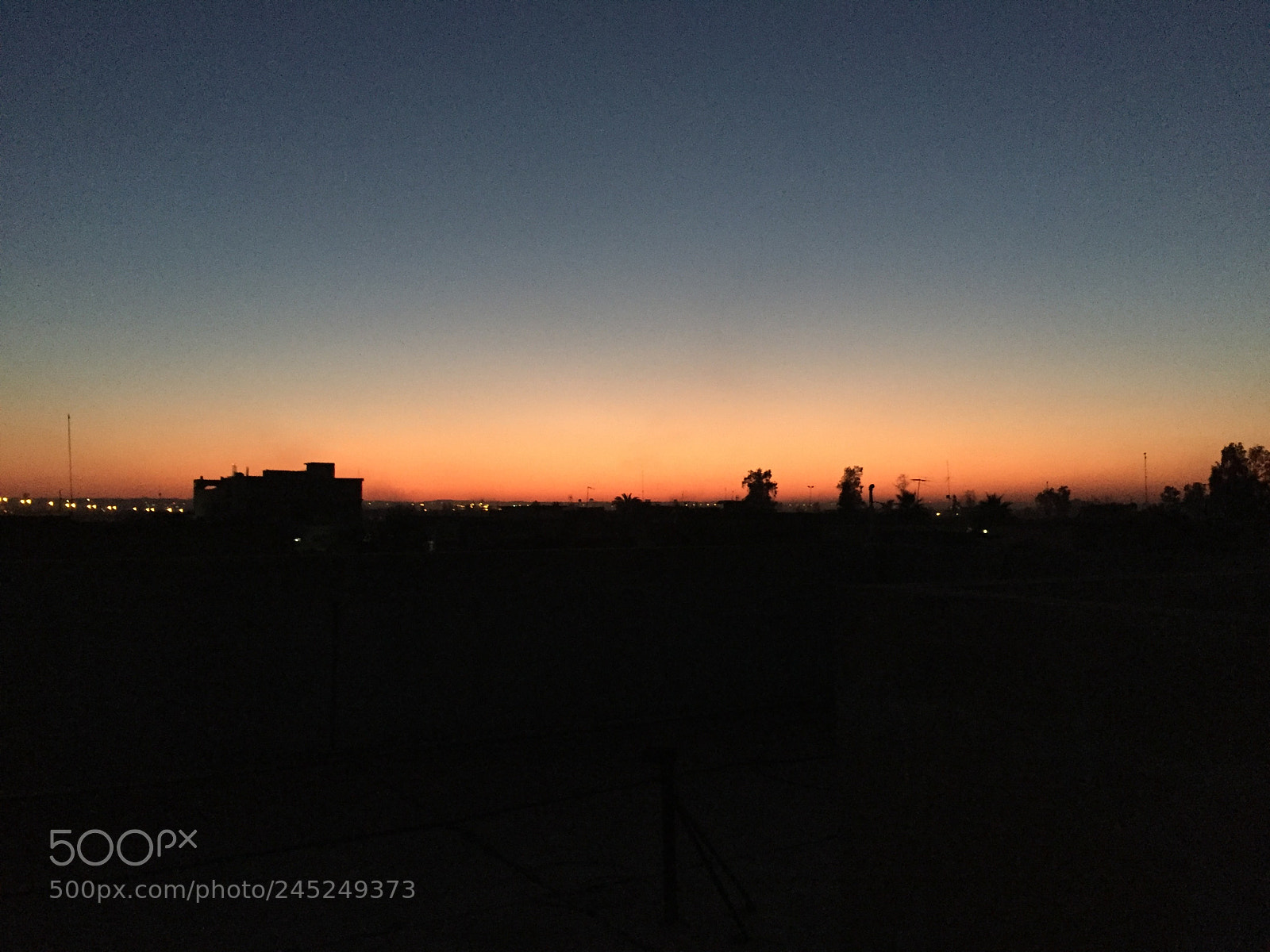 Apple iPhone 6 sample photo. Untitled photography