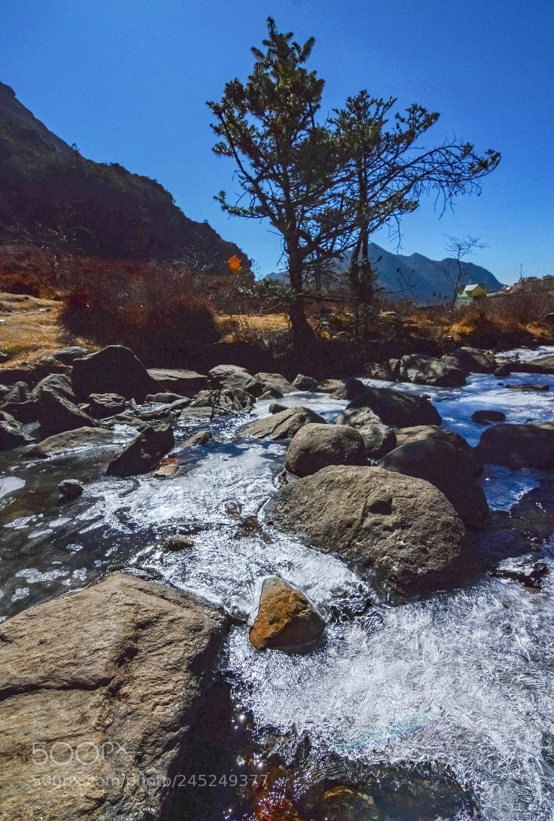 Nikon D3200 sample photo. Frozen river bed photography