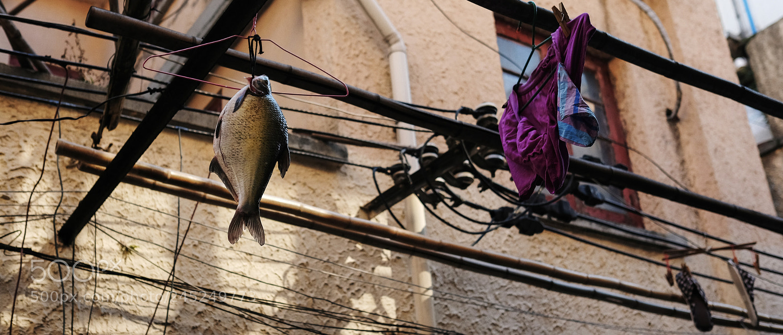 Fujifilm X-T2 sample photo. Untitled photography