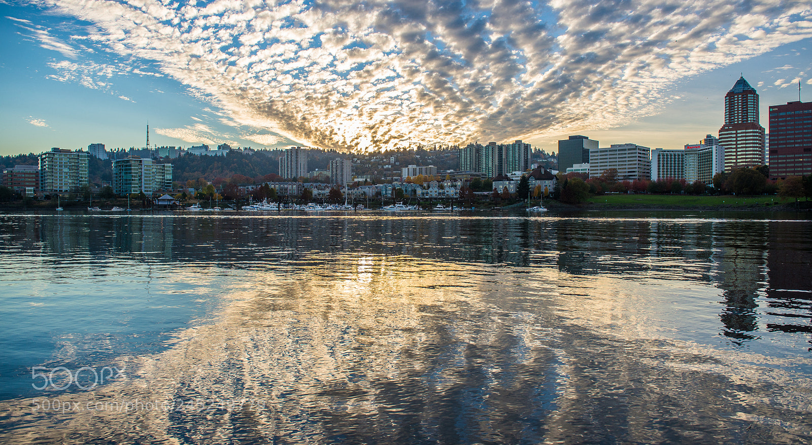 Nikon D600 sample photo. Cloudy portland photography