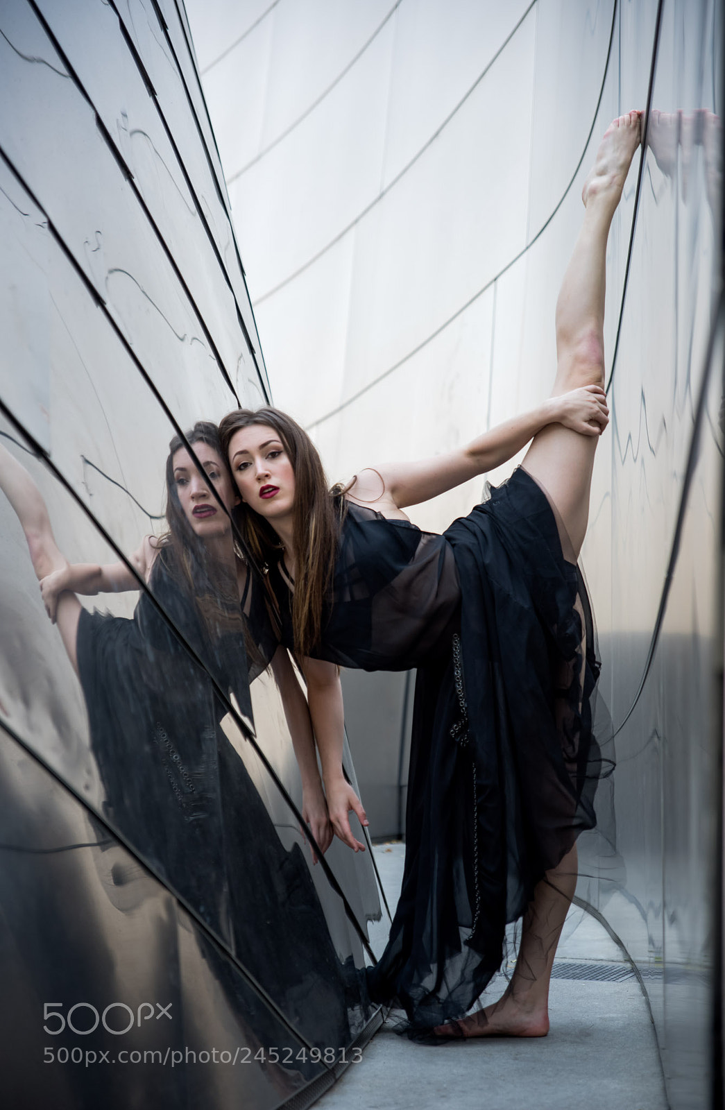 Nikon D810 sample photo. Bend but never break photography