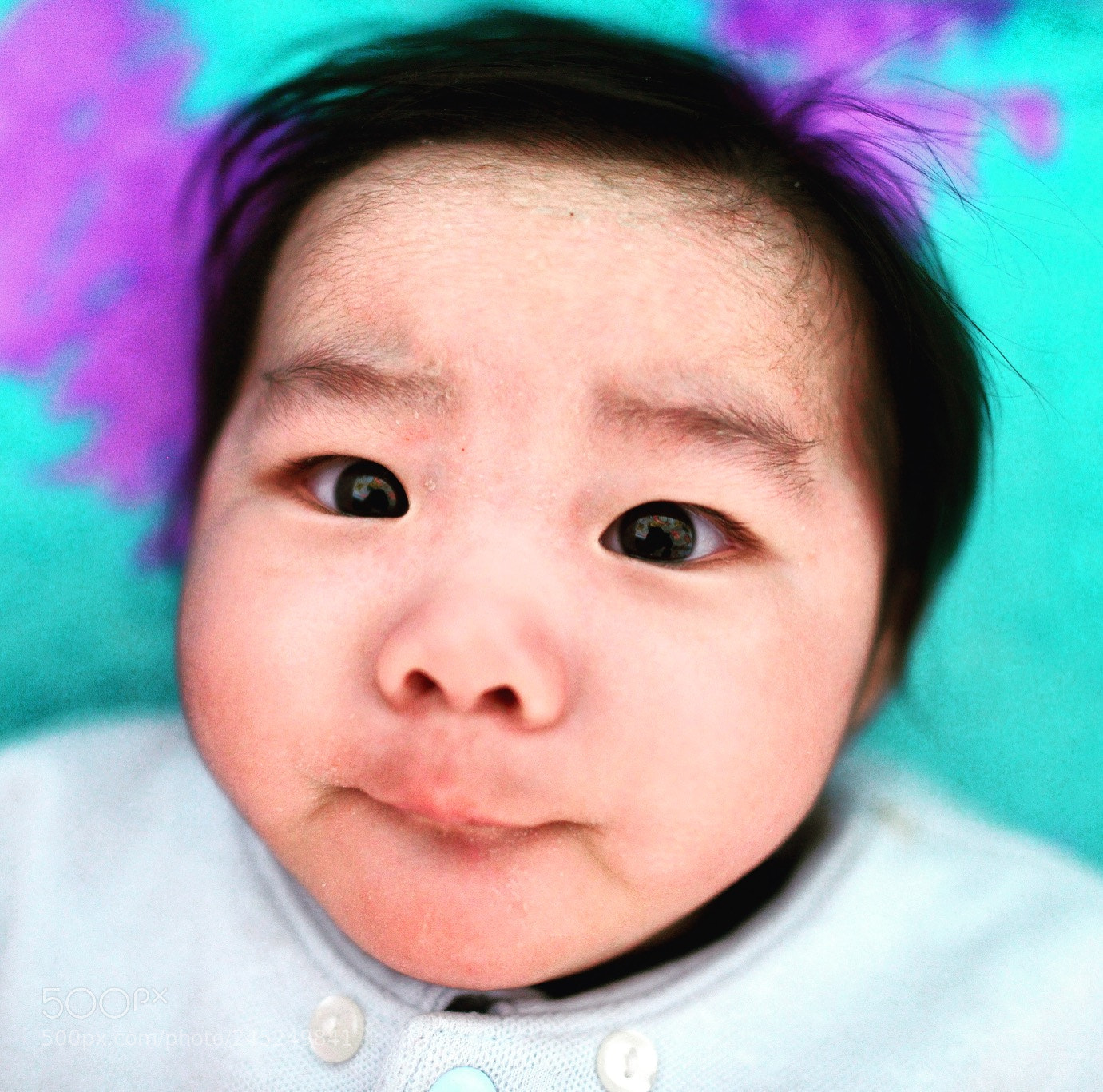 Nikon D800 sample photo. Untitled photography