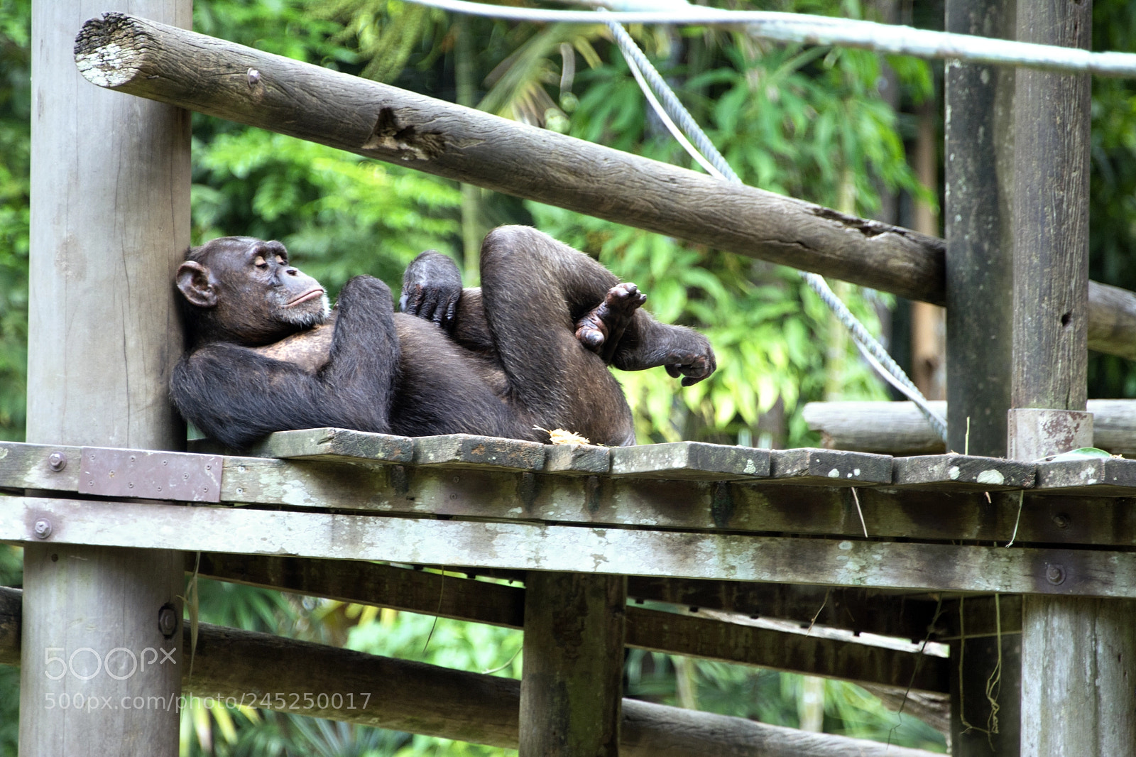 Nikon D5200 sample photo. No worries- tension free photography