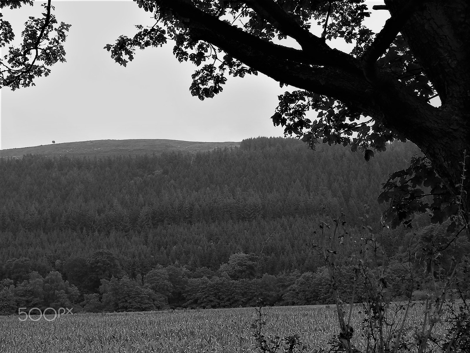 Nikon COOLPIX P2 sample photo. Wales photography