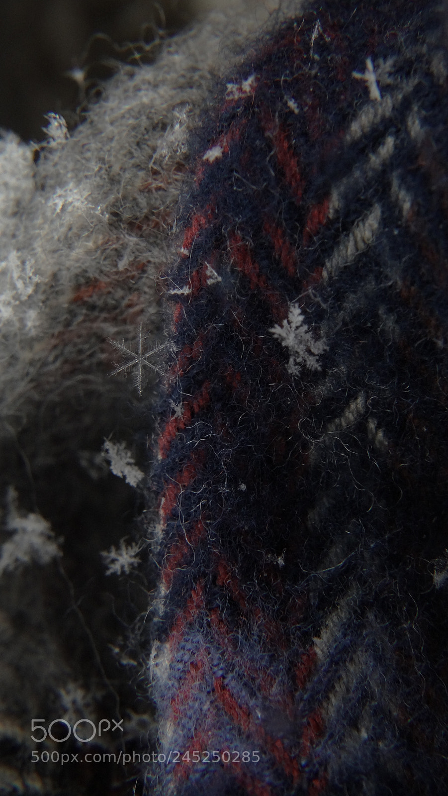Sony Cyber-shot DSC-HX300 sample photo. Snow photography