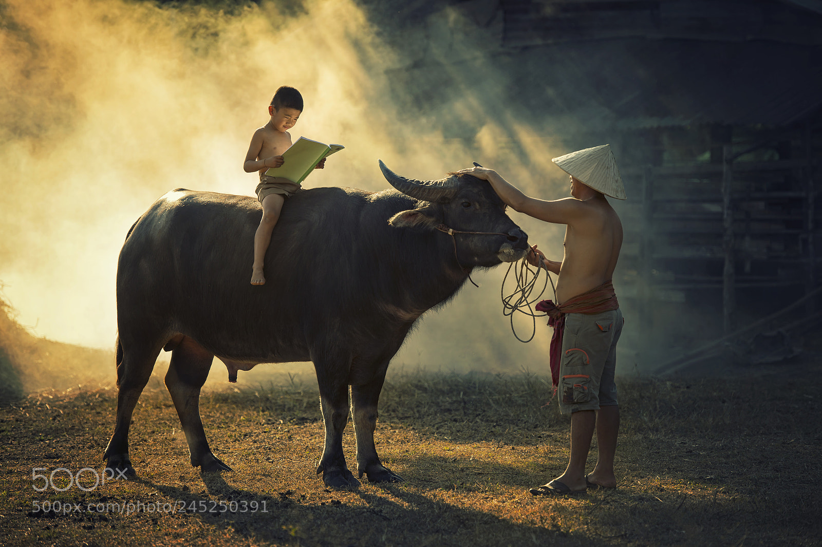 Nikon D4S sample photo. Thai country boy reading photography