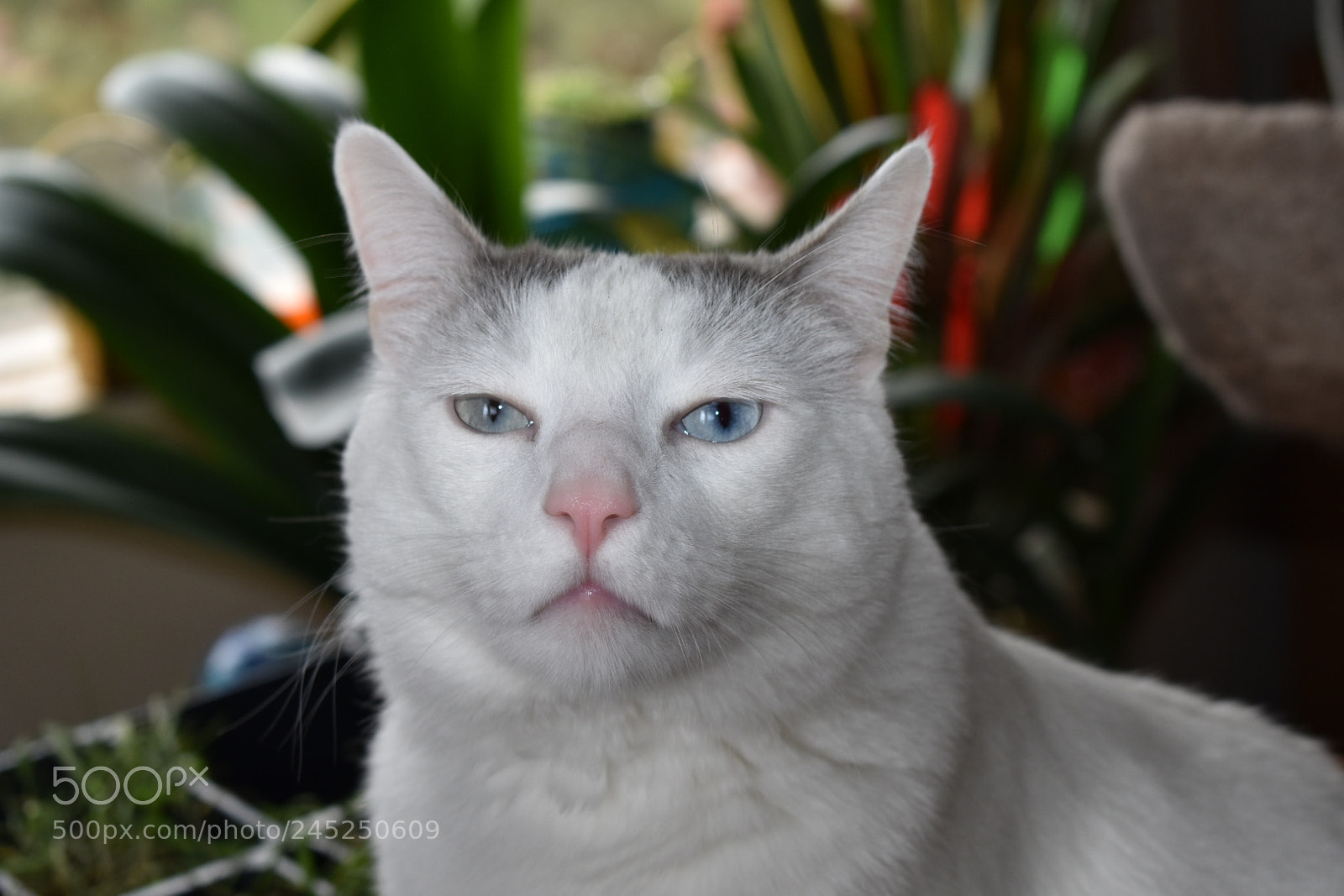 Nikon D3400 sample photo. I said no portraits photography