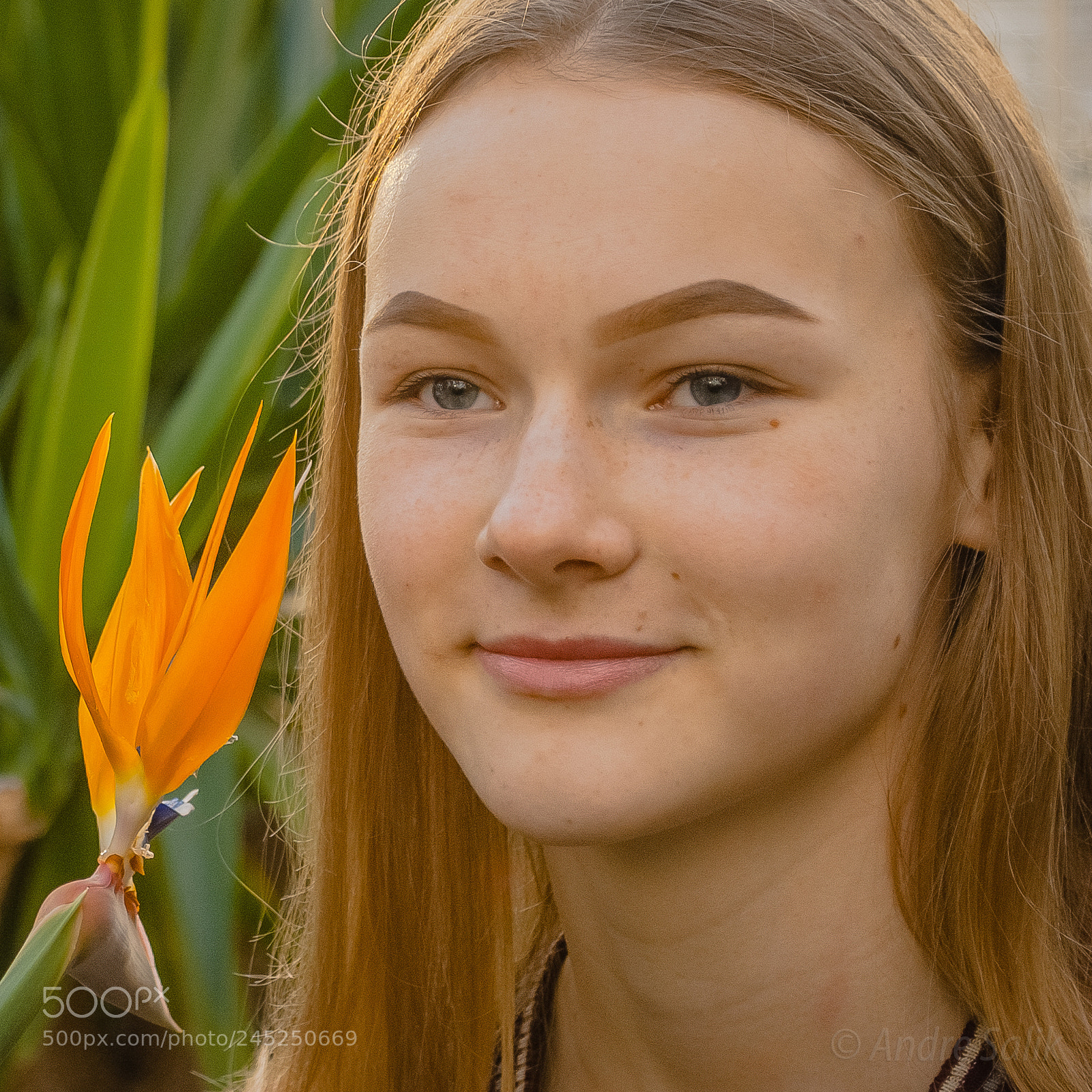 Nikon D60 sample photo. Retratos.  Лисичка) photography
