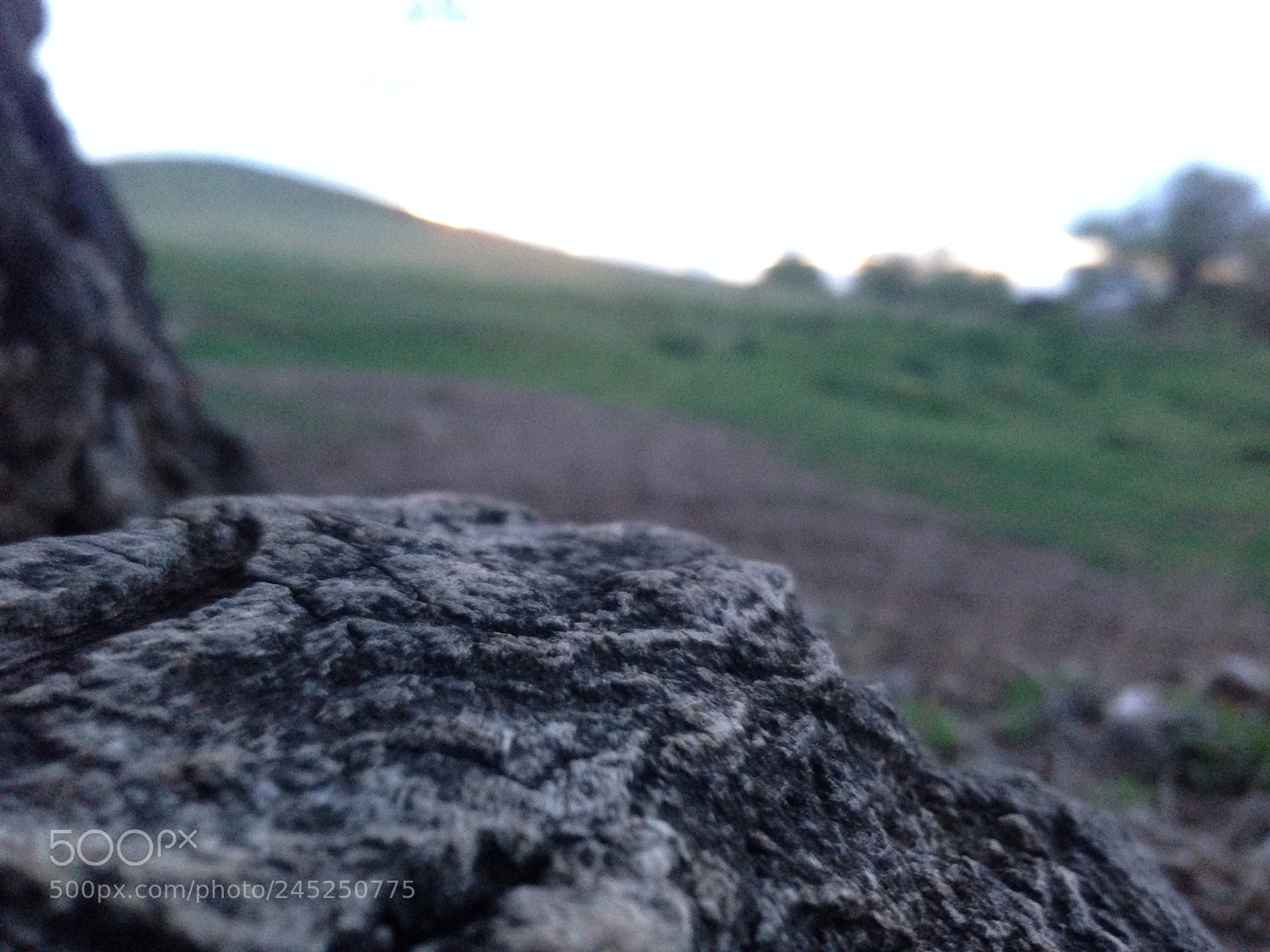 Apple iPhone 5 sample photo. Cfecee ba d photography