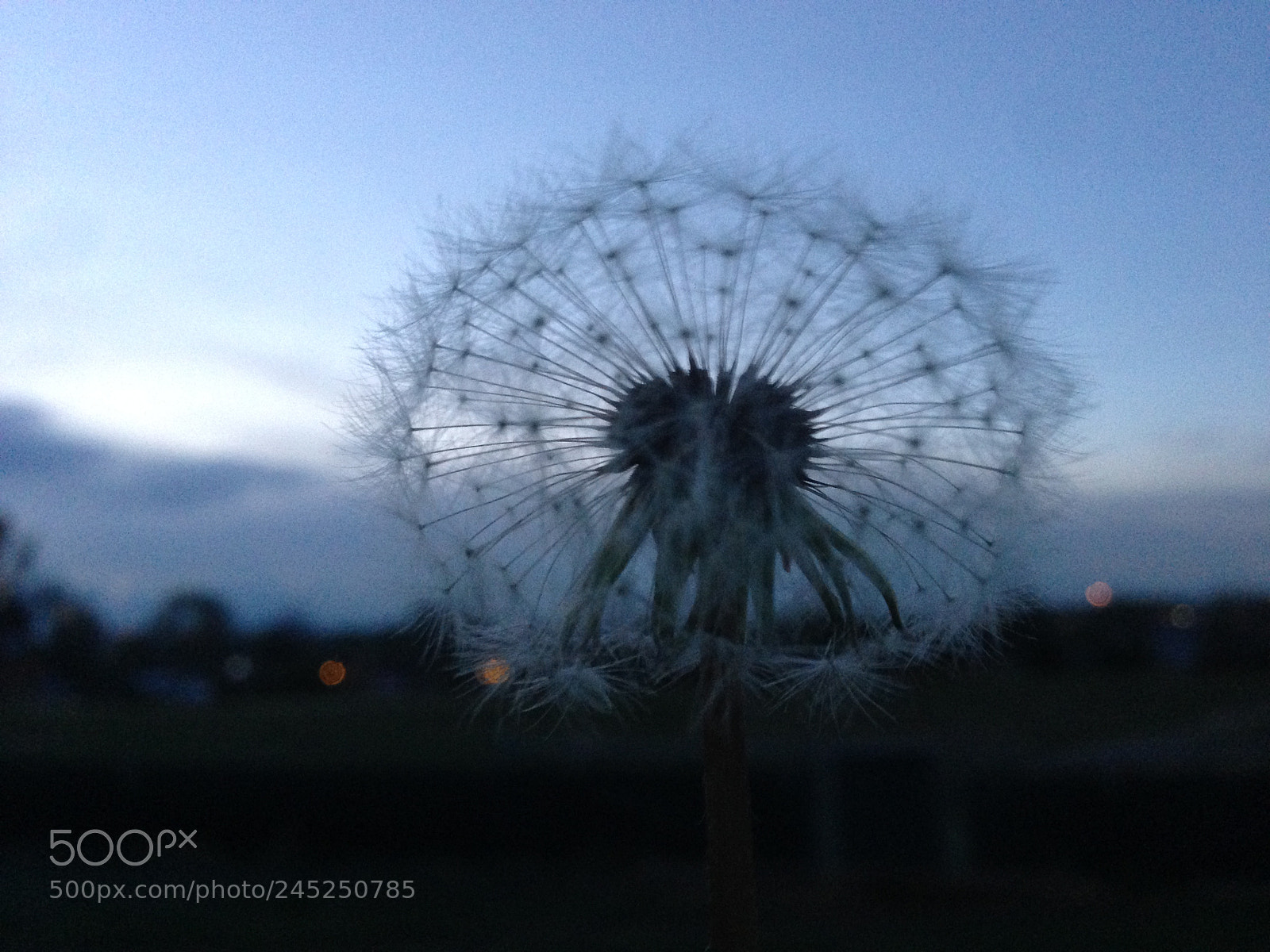 Apple iPhone 5 sample photo. Ab ed adacf photography
