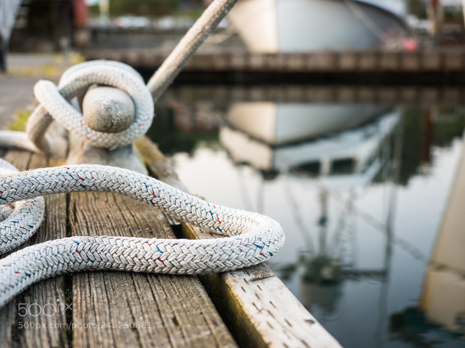 Olympus OM-D E-M5 II sample photo. I'm all tied up photography