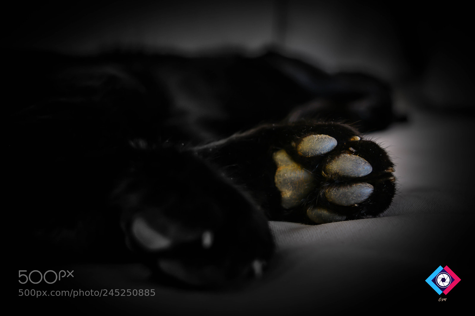 Nikon D5200 sample photo. Untitled photography