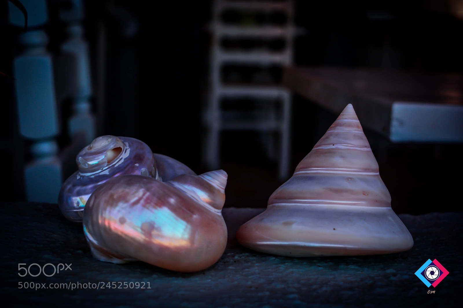 Nikon D5200 sample photo. Untitled photography