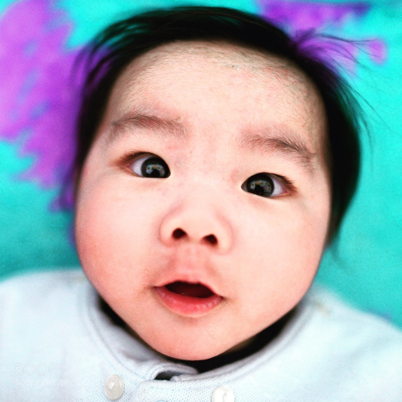 Nikon D800 sample photo. Untitled photography