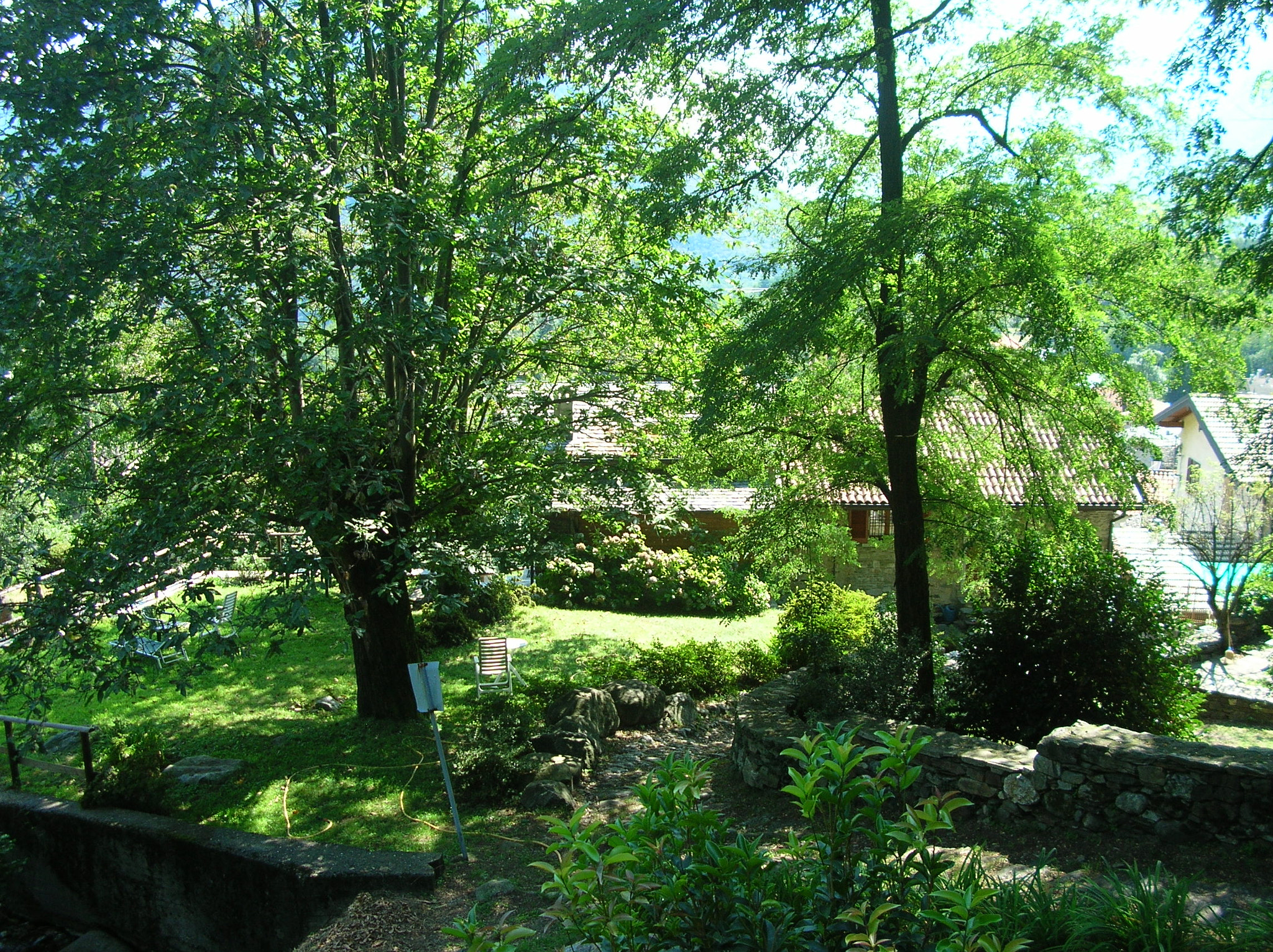 Nikon E4100 sample photo. Green and shadow photography
