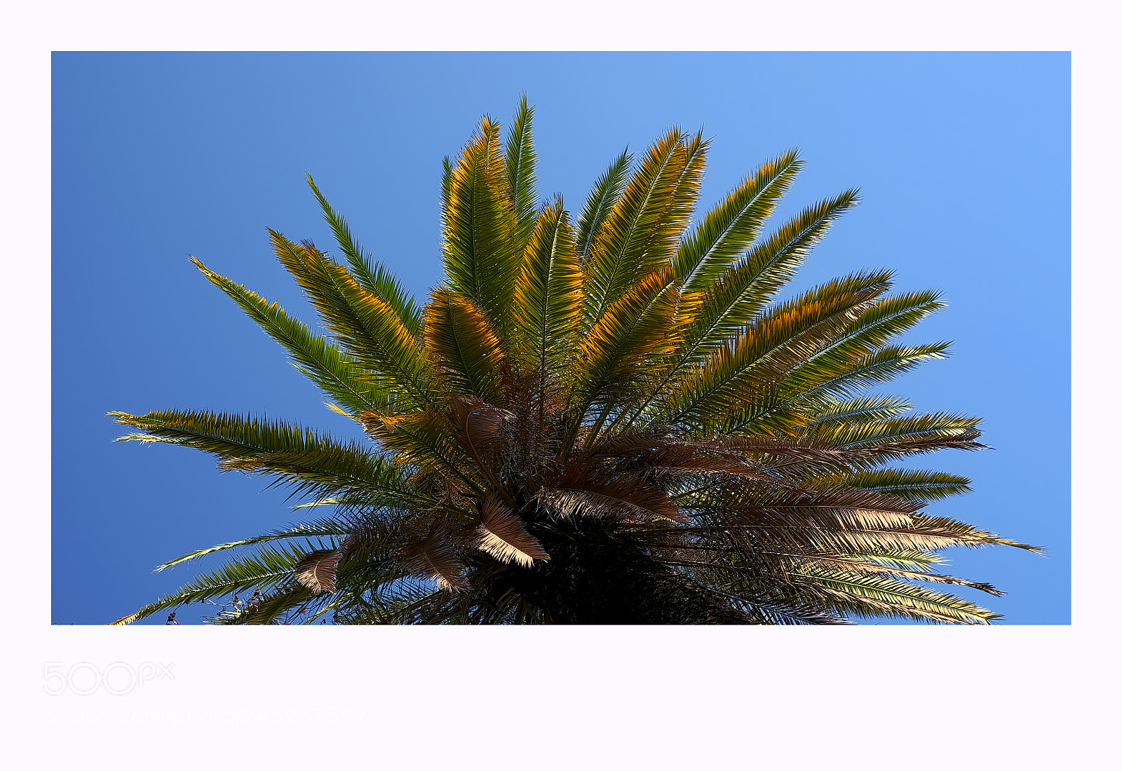 Fujifilm X-T1 sample photo. Lisbon photography