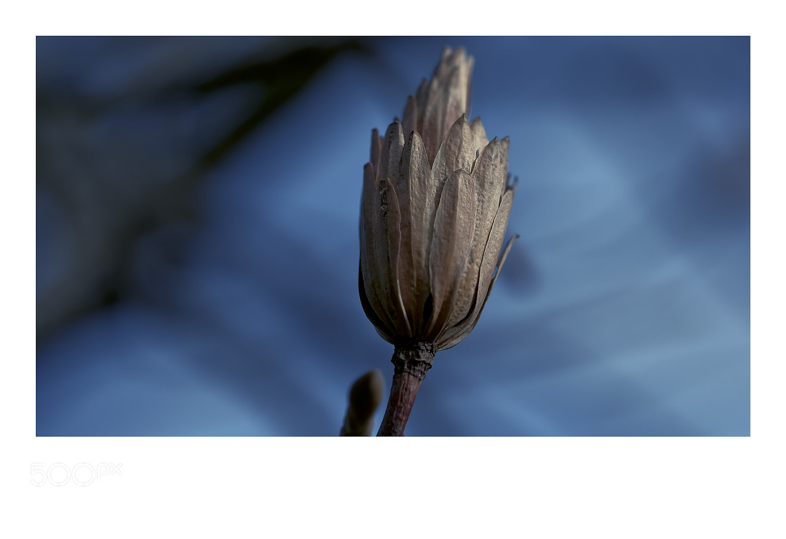 Fujifilm X-T1 sample photo. Lisbon photography