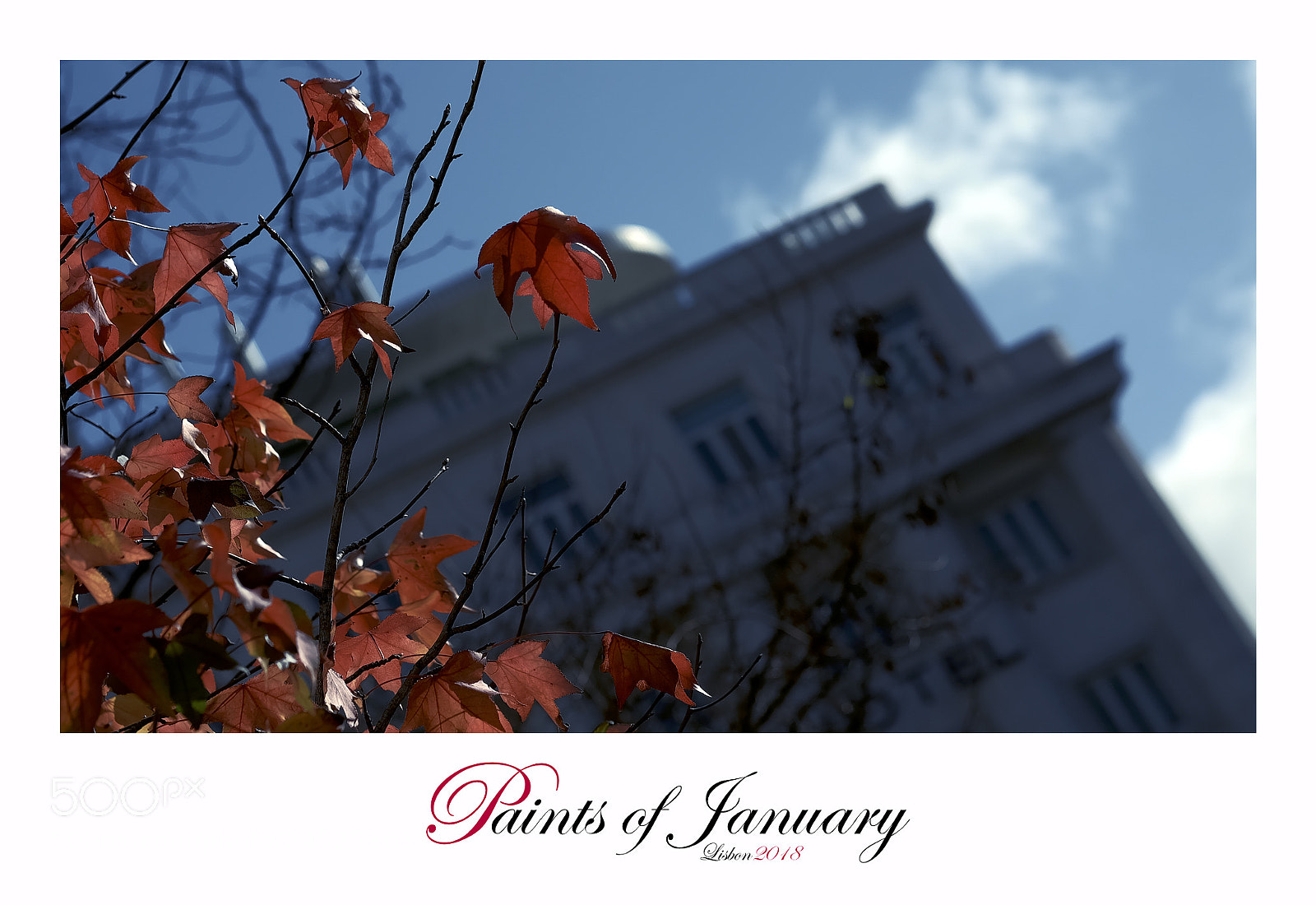 Fujifilm X-T1 sample photo. Paints of january photography