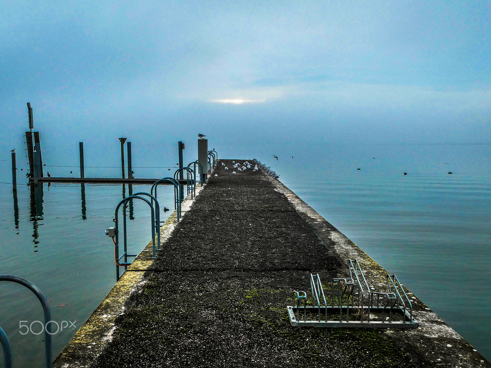 Panasonic DC-TZ91 sample photo. Mole in leichten nebel photography