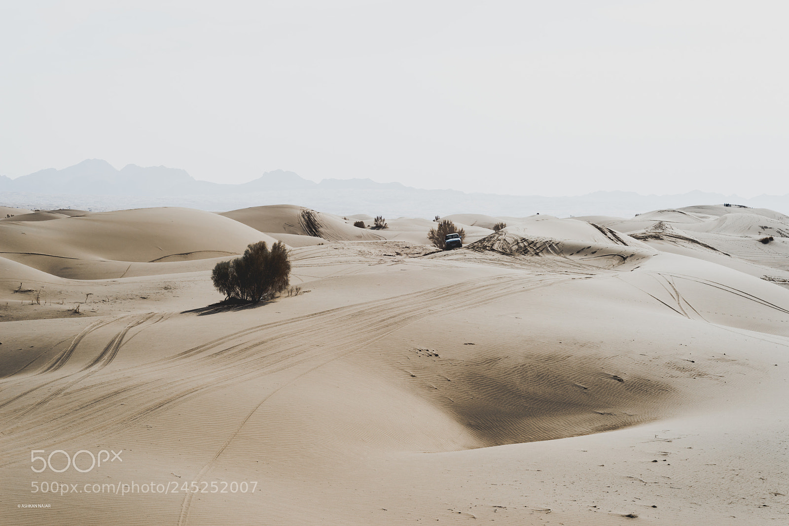 Nikon D610 sample photo. Mesr desert photography