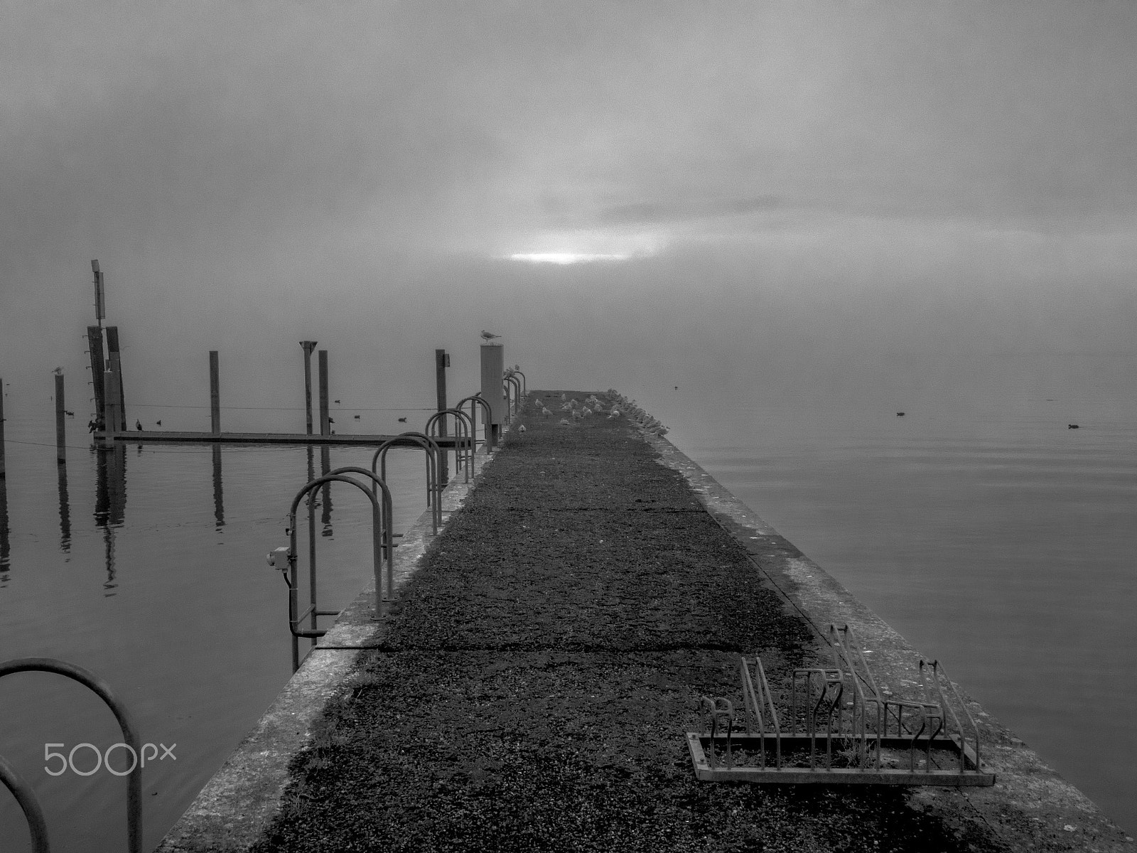 Panasonic DC-TZ91 sample photo. Mole in leichten nebel photography