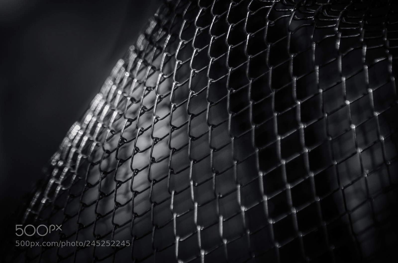Nikon D5100 sample photo. Seine photography