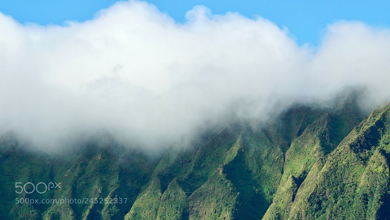 Sony a7S II sample photo. Hawaii rewind - ko'olau photography