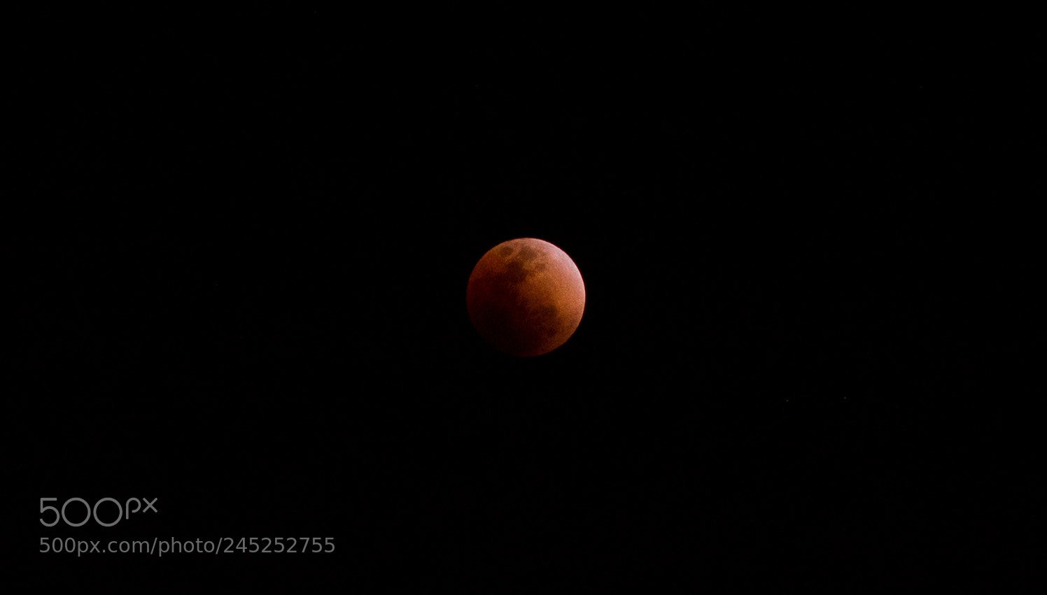 Nikon D810 sample photo. Bloody luna photography