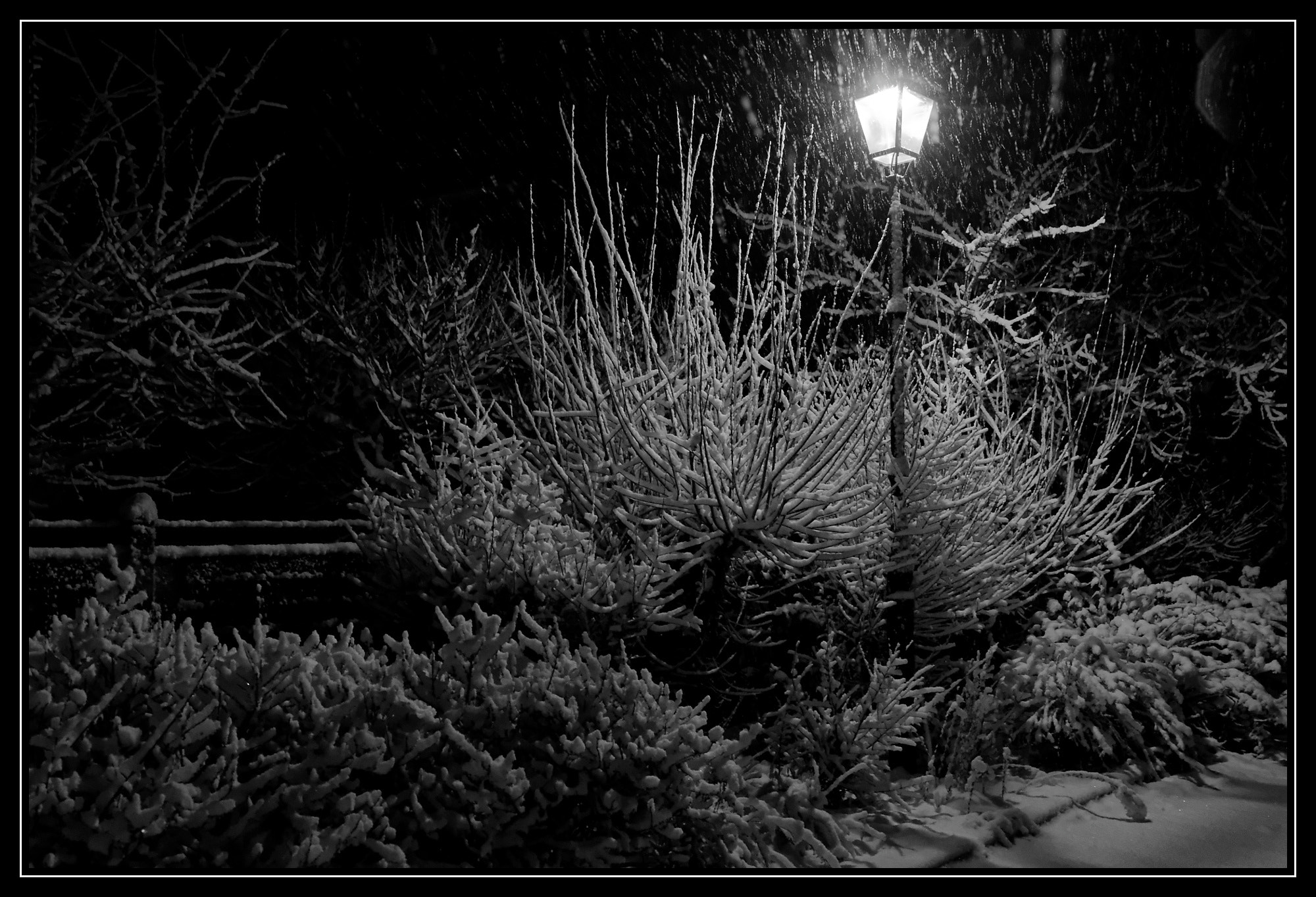 Nikon AF-S Nikkor 24-70mm F2.8G ED sample photo. Snowfall in donnery photography