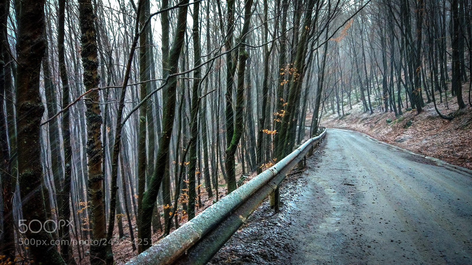 Xiaomi MI 5 sample photo. Turn and snowfall photography