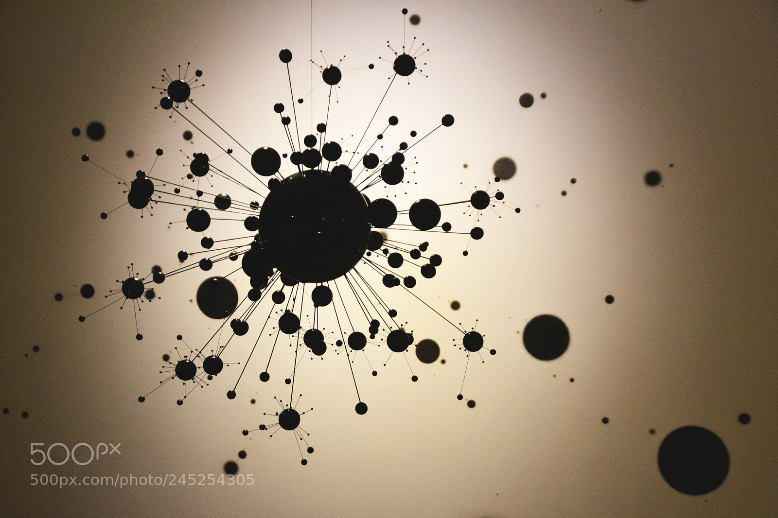 Nikon D3100 sample photo. Art photography