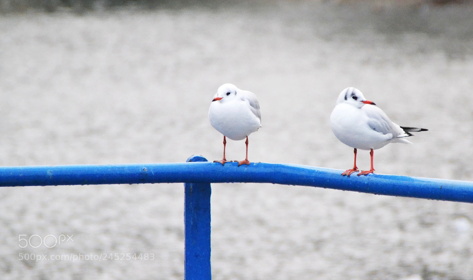 Nikon D3100 sample photo. 2.jpg photography