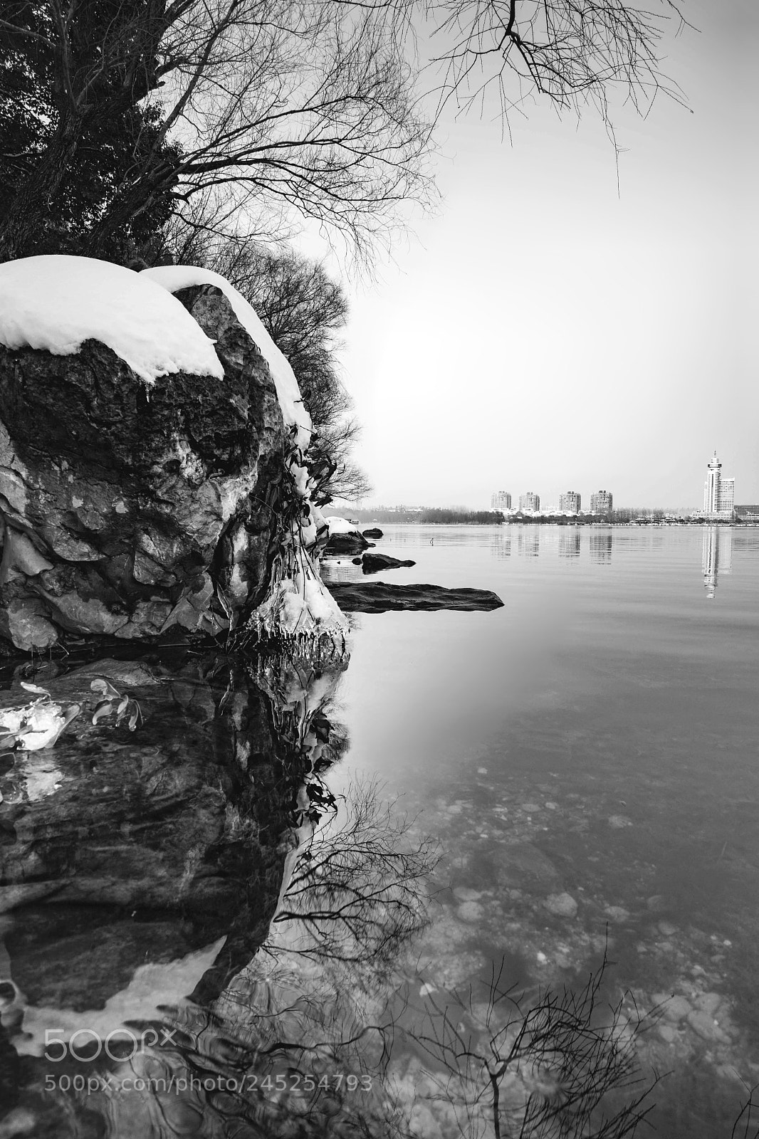 Sony a7R II sample photo. Untitled photography