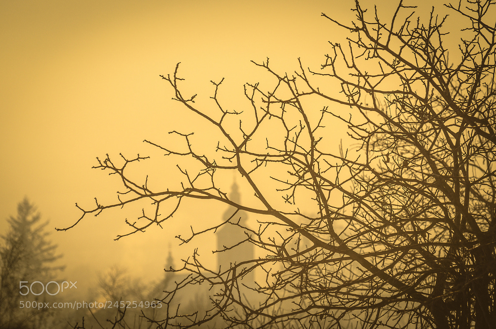 Nikon D5100 sample photo. Sunny winter photography