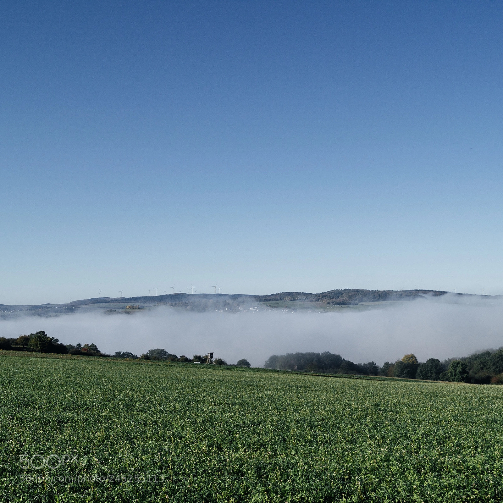 Sony SLT-A58 sample photo. The fog is coming… ? photography