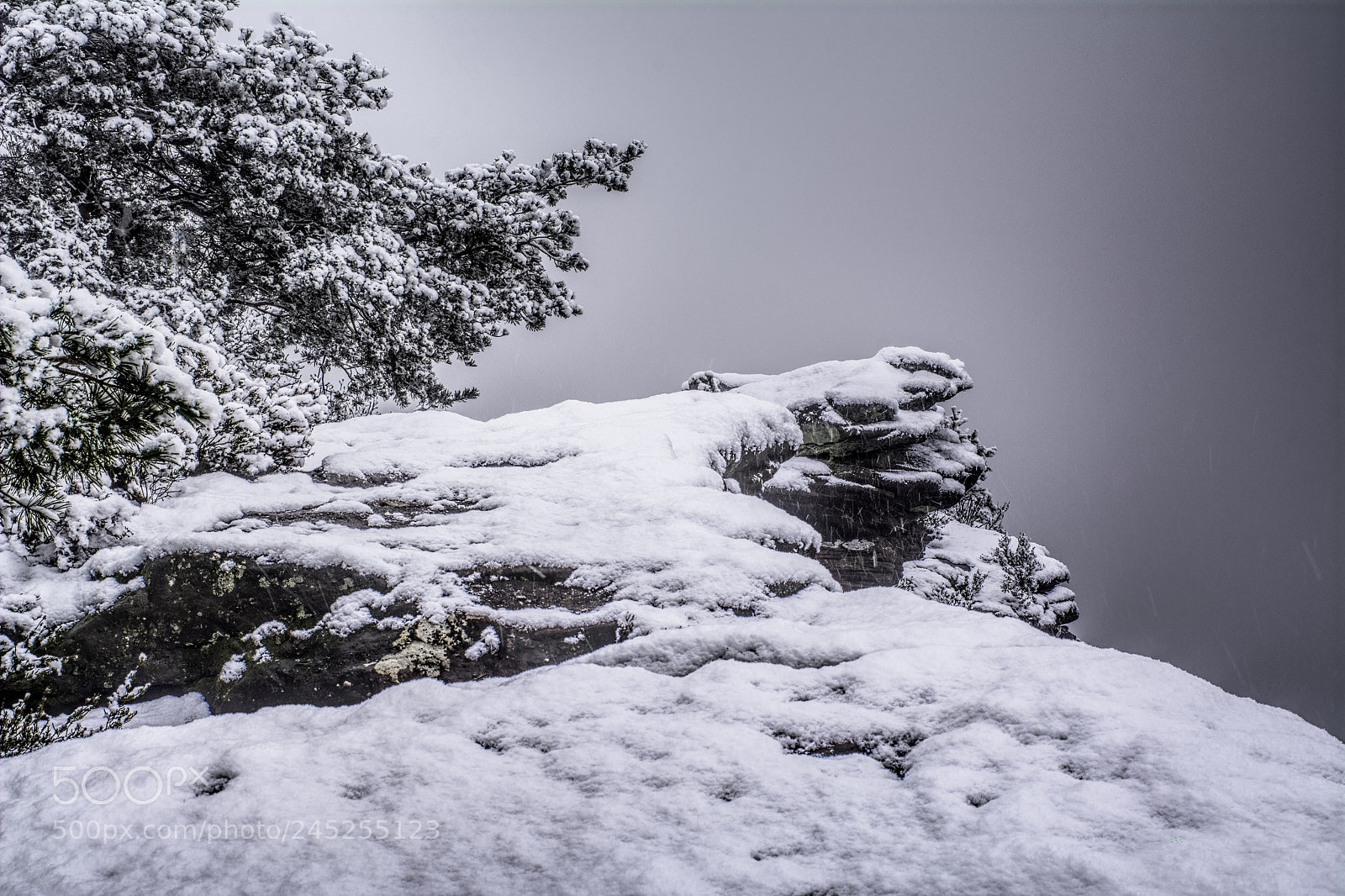 Nikon D7100 sample photo. Palatinate71 photography