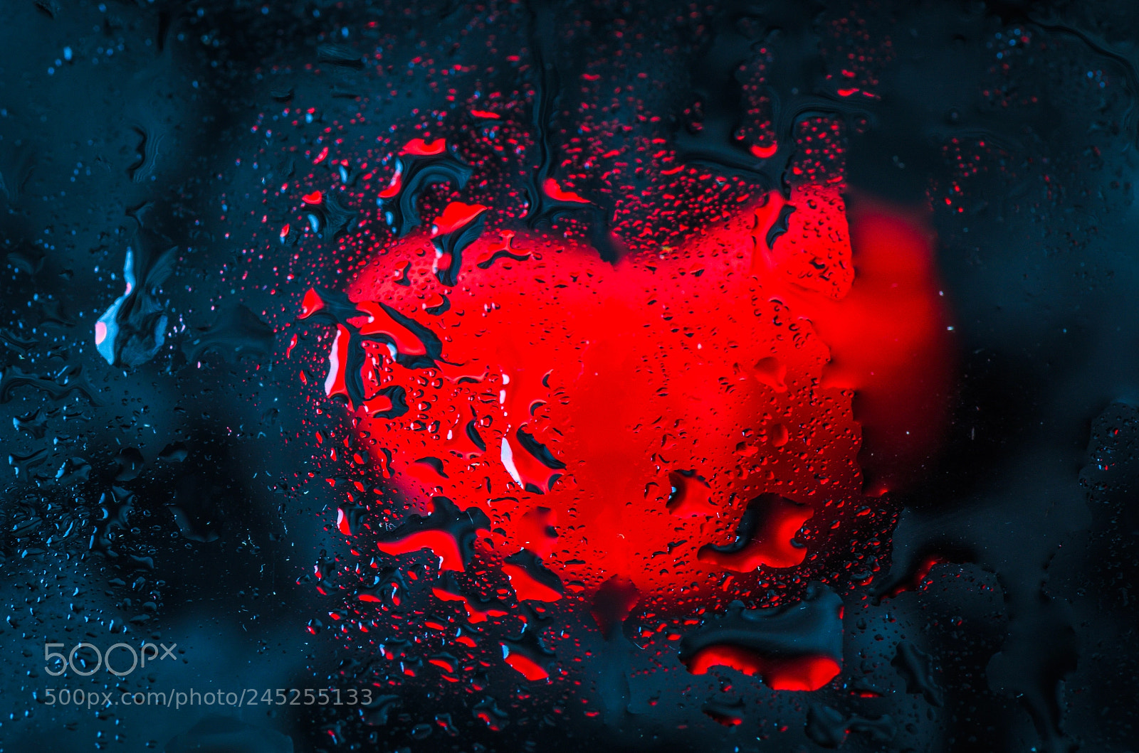 Nikon D5100 sample photo. Heart drops photography